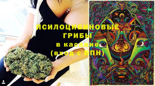 прущая мука Медвежьегорск