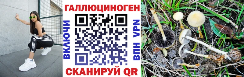 hydra зеркало  Сысерть  Галлюциногенные грибы Magic Shrooms 